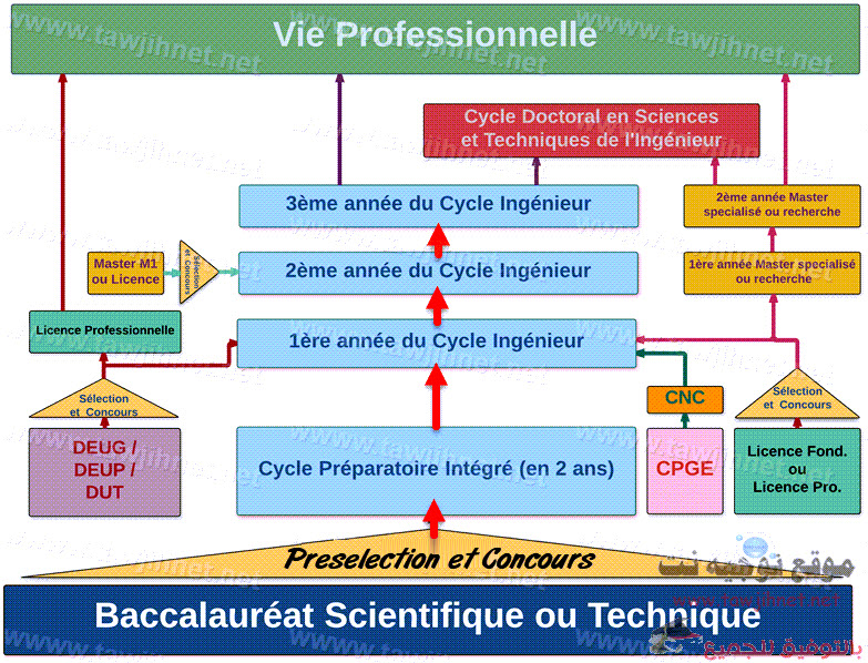 diagramme-ensa-Formation.jpg
