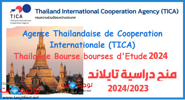 Thailand International Postgraduate TIPP 2023-2024.jpg