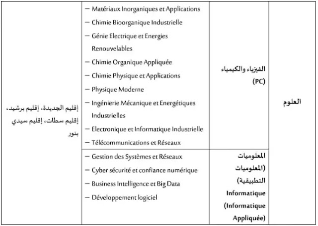 JADIDA 5.jpg