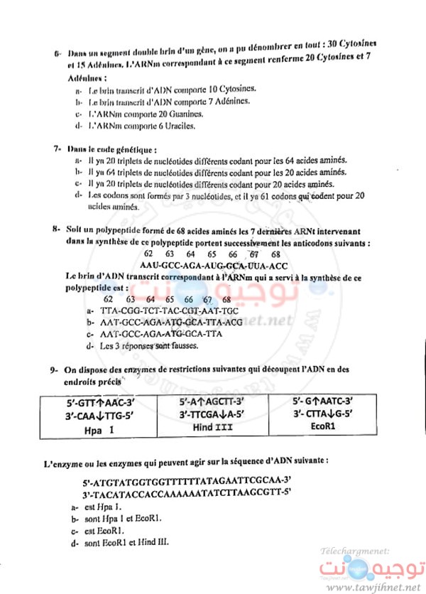 enam-8.jpg