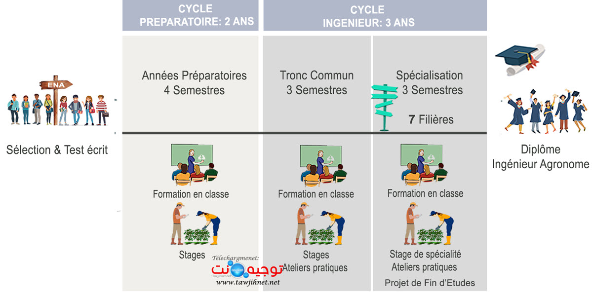 enam-Organisation-de-la-formation.jpg