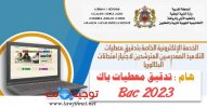 tadkik bac تدقيق المعطيات  2023.jpg