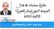 مقاربة جديدة في مجال التوجيه التربوي تساير تطورات الالفية الثالثة محمد بكنزيز.jpg