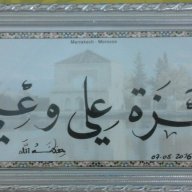 hamza aliane