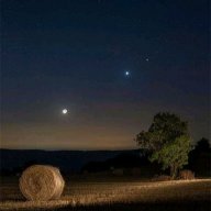 أسامة ياسين